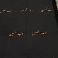 Customised Women Shawls - Image 15